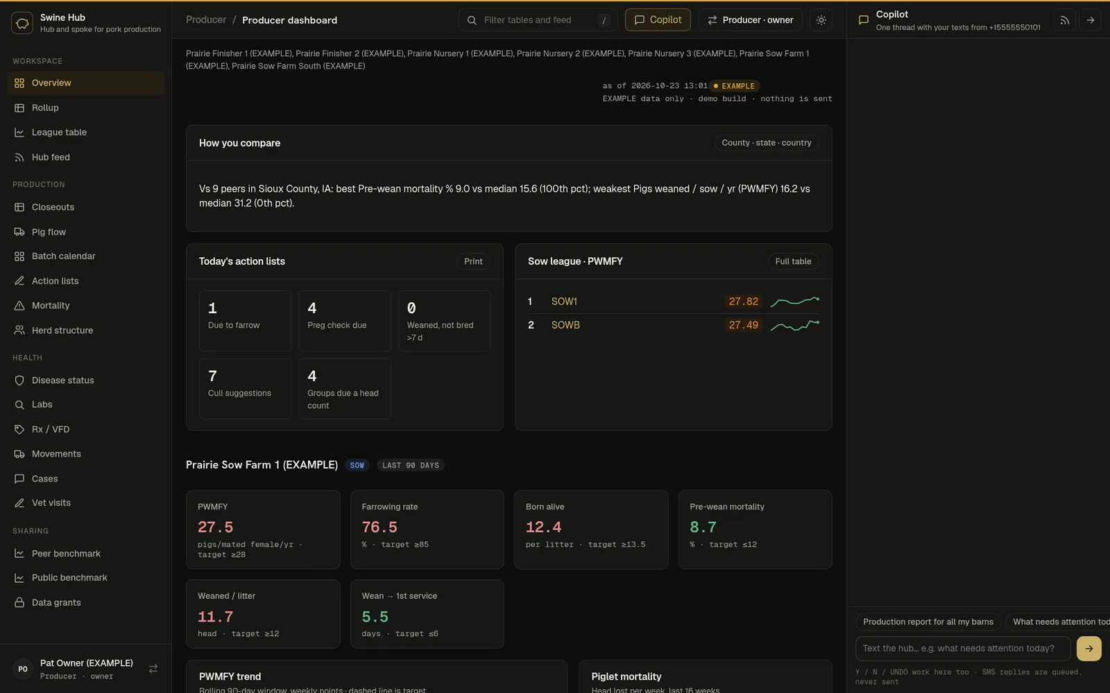 Producer overview with the copilot panel on the right (example data)